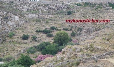 Εγκύκλιος για τους αναρτημένους δασικούς χάρτες