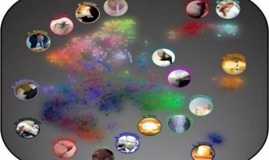 Πόσα συναισθήματα νιώθει ένας άνθρωπος;