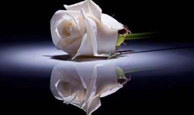 Συλλυπητήρια δήλωση του Περιφερειάρχη Νοτίου Αιγαίου, Γιώργου Χατζημάρκου, για τον θάνατο του Δημάρχου Τήνου, Σίμου Ορφανού