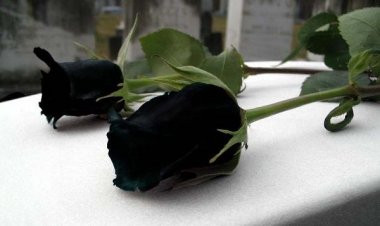 Συλλυπητήρια ανακοίνωση του Γιώργου Χριστόπουλου για την απώλεια του Δημάρχου Τήνου Σίμου Ορφανού