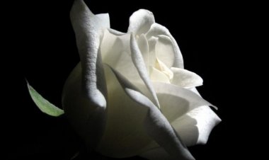 Συλλυπητήρια Δήλωση των βουλευτών Κυκλάδων του ΣΥΡΙΖΑ, για την απώλεια του Δημάρχου Τήνου