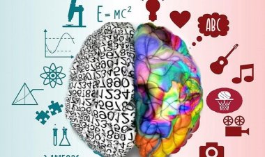 Γιατί εκπαιδεύουμε τα παιδιά σαν να έχουν μόνο αριστερό ημισφαίριο εγκεφάλου;