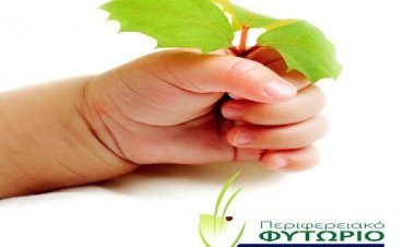 Σύρος: "Η Γη είναι στα χέρια σου" Μεγάλη γιορτή για την Παγκόσμια Ημέρα Περιβάλλοντος