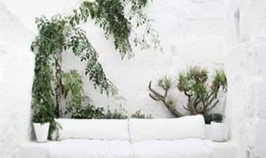 Διακοσμήστε με τον Elegan συνδυασμό: Λευκό και φυτά!!