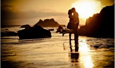 Η τέχνη της συμβίωσης