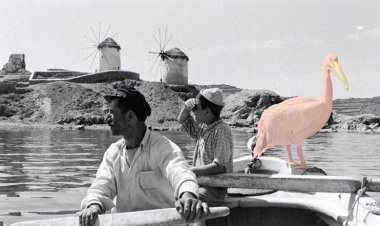 Ευχές για Καλή Χρονιά απο τον Δήμαρχο Κ. Κουκά και το Δημοτικό Συμβούλιο του Δήμου Μυκόνου