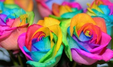 Η ψυχολογία των χρωμάτων και πού θα σας χρησιμεύσει!!