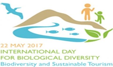 Το λογότυπο της Παγκόσμιας Ημέρας για τη Βιοποικιλότητα φέτος είναι ελληνικό