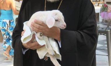 Ποιμαντορική εγκύκλιος Σεβασμιωτάτου Δωροθέου Β' επί τη Θεία Ενσαρκώσει