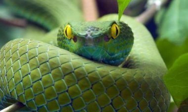 Δεν αντέχω άλλο να σε βλέπω να λάμπεις...