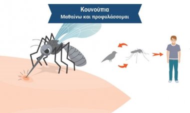Πώς θα προστατευτείτε αποτελεσματικά από τα κουνούπια