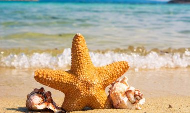 Καλοκαιρία σε όλη τη χώρα, αλλά θα μας «απογειώσουν» τα μποφόρ!!