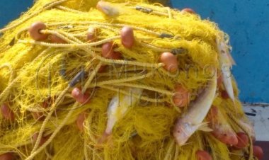 Υπερασπιστές των Κυκλαδίτικων νησιών και της θαλάσσιας προστασίας τους στο Λονδίνο