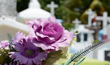 Cyclades: Συλλυπητήρια ανακοίνωση της Ένωσης Κυκλαδικού Τύπου για την απώλεια της εκδότριας του «Κυκλαδικού Φωτός» Ελένης Τερζοπούλου