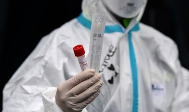 Coronavirus Pandemic: Ελπιδοφόρα τα πρώτα αποτελέσματα από τη χρήση κολχικίνης σε 60 Έλληνες ασθενείς