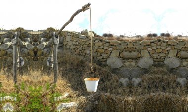 Πρόστιμα για ακαθάριστα οικόπεδα θα επιβάλλει τους ιδιοκτήτες ο Δήμος