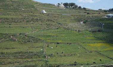 Property - Κτηματολόγιο: Αγώνας δρόμου!! Κινδυνεύει να χαθεί το χρονοδιάγραμμα!!