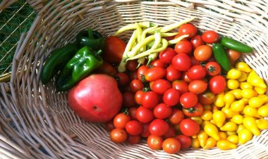 Health: Ο ΕΦΕΤ δημιούργησε το εγχειρίδιο «Τρώγοντας με ασφάλεια στο σπίτι»!! Τα πέντε «κλειδιά» ορθής υγιεινής πρακτικής και ασφάλειας τροφίμων!! [Έγγραφο]