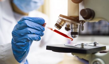 Coronavirus Pandemic: Ανιχνεύσιμη και πάλι η παρουσία του SARS-CoV-2 στα αστικά λύματα