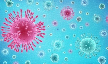 Coronavirus Disease: 35 νέα περιστατικά μόλυνσης - Τα 4 στις πύλες εισόδου, κανένας νέος θάνατος