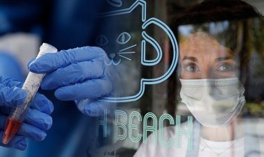 Coronavirus Pandemic: Όριο τα 200 κρούσματα ημερησίως!! Τι λένε οι ειδικοί για νέα μέτρα!!