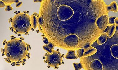 Coronavirus Disease: 217 νέα περιστατικά μόλυνσης – Τα 15 στις πύλες εισόδου, δύο νέοι θάνατοι