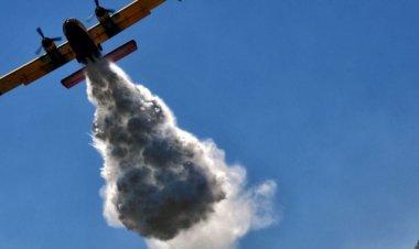 Andros: Πυρκαγιά σε δασική έκταση στο Κόρθι Άνδρου