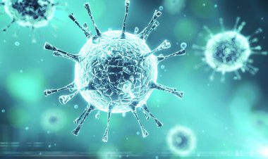 Coronavirus Disease: 241 νέα περιστατικά μόλυνσης – Τα 31 στις πύλες εισόδου, πέντε νέοι θάνατοι