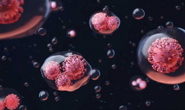 Coronavirus Disease: 169 νέα περιστατικά μόλυνσης – 42 νοσηλεύονται διασωληνωμένοι, ένας νέος θάνατος