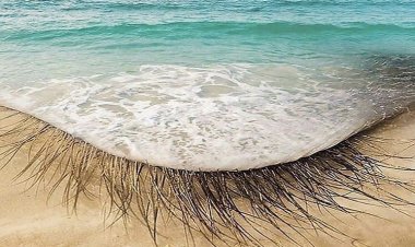 Coronavirus Pandemic: Για πρώτη φορά βρέθηκε κορωνοϊός σε νερό από παραλία!!