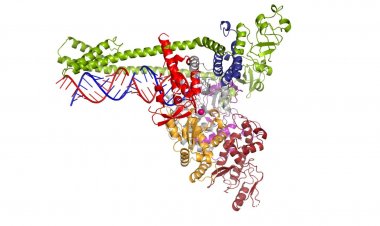 Coronavirus Disease: 267 νέα περιστατικά μόλυνσης –  79 νοσηλεύονται διασωληνωμένοι, 7 νέοι θάνατοι