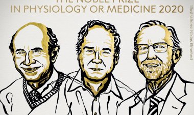 Nobel Prize in Physiology or Medicine 2020: Βράβευση τριών επιστημόνων που ανακάλυψαν τον ιό της ηπατίτιδας C!!