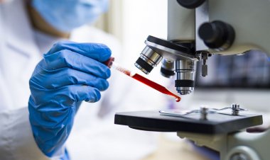 Coronavirus Disease: Οι ασθενείς με Covid-19 παράγουν αντισώματα ακόμη και επτά μήνες μετά από τη λοίμωξη