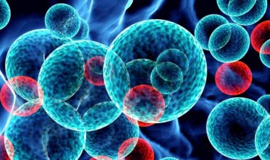 Coronavirus Disease: 1.259 νέα περιστατικά μόλυνσης –  102 νοσηλεύονται διασωληνωμένοι, 12 νέοι θάνατοι