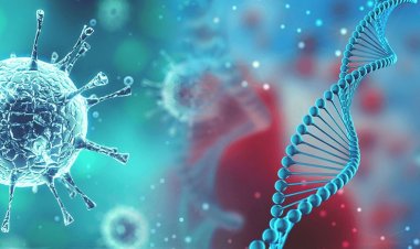 Coronavirus Disease: 1.211 νέα περιστατικά μόλυνσης –  114 νοσηλεύονται διασωληνωμένοι, 12 νέοι θάνατοι