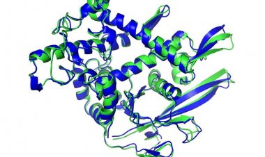 Artificial intelligence (AI): Λύθηκε με τη βοήθεια της τεχνητής νοημοσύνης ένα μυστήριο της βιολογίας σχετικά με τη δομή των πρωτεϊνών