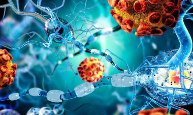 Coronavirus Disease: 693 νέα περιστατικά μόλυνσης –  552 νοσηλεύονται διασωληνωμένοι, 85 νέοι θάνατοι