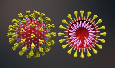 New coronavirus strain: Στην Ιταλία εντοπίστηκε ασθενής προσβεβλημένος από το νέο στέλεχος του ιού