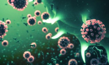 Coronavirus Disease: 444 νέα περιστατικά μόλυνσης –  350 νοσηλεύονται διασωληνωμένοι, 39 νέοι θάνατοι