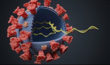 Coronavirus Disease: 610 νέα περιστατικά μόλυνσης –  319 νοσηλεύονται διασωληνωμένοι, 34 νέοι θάνατοι
