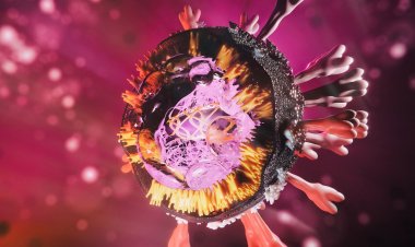 Coronavirus variants and mutations: "Αγώνα δρόμου" ενάντια σε παραλλαγές του κορονοϊού "βλέπει" μέχρι την άνοιξη ο Αυστριακός ερευνητής Νίκι Πόπερ