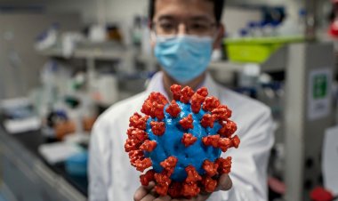 Coronavirus Disease: 1.533 νέα περιστατικά μόλυνσης [Το 1 στην Μύκονο] –  605 νοσηλεύονται διασωληνωμένοι, 59 νέοι θάνατοι