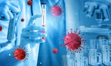 Coronavirus Disease: 21 κρούσματα στο Νότιο Αιγαίο - 609 κρούσματα σε Αττική, 161 σε Θεσσαλονίκη - Η κατανομή