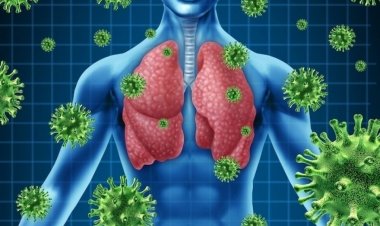 Coronavirus Disease: 42 κρούσματα στο Νότιο Αιγαίο - 1.022 κρούσματα σε Αττική, 302 σε Θεσσαλονίκη - Η κατανομή