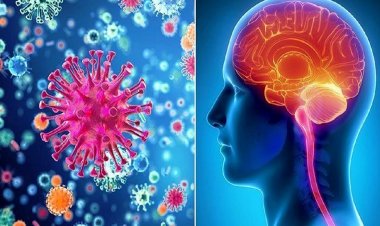 Coronavirus Disease: 2.146 νέα περιστατικά μόλυνσης  –  797 νοσηλεύονται διασωληνωμένοι, 134 νέοι θάνατοι