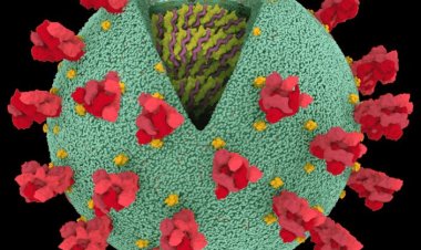 Coronavirus Disease: 19.712 νέα περιστατικά μόλυνσης, τα 71 στην Μύκονο  –  633 νοσηλεύονται διασωληνωμένοι, 112 νέοι θάνατοι