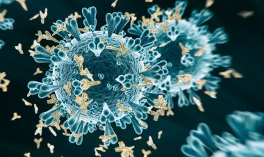 Coronavirus Disease: 52 κρούσματα στο Νότιο Αιγαίο - 1.604 κρούσματα σε Αττική, 417 σε Θεσσαλονίκη - Η κατανομή