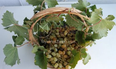 Aegean Islands: Στην κορυφή των προτεραιοτήτων της Περιφέρειας Ν. Αιγαίου ο γαστρονομικός και οινικός τουρισμός