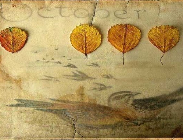 Welcoming October & Autumn Vibe: 1η Οκτωβρίου!! Καλό Μήνα, με τις μυρουδιές της μουσκεμένης γης!!