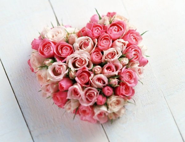 Valentine's day: Ο συμβολισμός των λουλουδιών!!